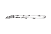 Hand-Drawn Vegetable Illustrations, a Food Illustration by BenDesigner (Thumbnail 2 of 6)