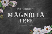 Magnolia Tree Rustic Font, a Serif Font by Beck McCormick (Thumbnail 1 of 10)