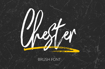 Chester Brush, a Script Font by MSG Studio