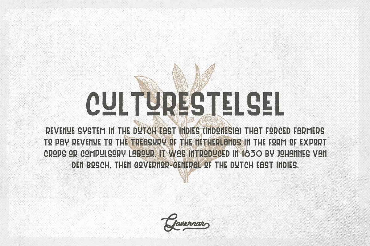 Sale - Batavia Script & Sans, a Script Font by Monoco Type Foundry (Photo 6 of 11)