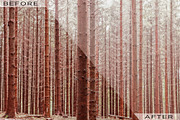 Fog and Mist Lightroom Presets, a Plug-in Add-On by Click Click Studio (Thumbnail 4 of 9)