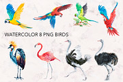 Watercolor AFRICA, an Animal Illustration by lilisavelieva (Thumbnail 3 of 6)