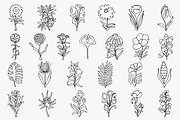 Whimsy Bloom: 75 Flowers Collection, an Object Illustration by Veyla (Thumbnail 9 of 17)