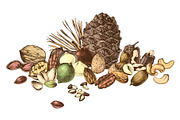 Hard nut graphic design set, a Food Illustration by handsketched (Thumbnail 6 of 18)