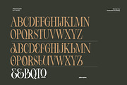 Vienna Modern Serif Font, a Serif Font by Fortunes Co (Thumbnail 10 of 15)