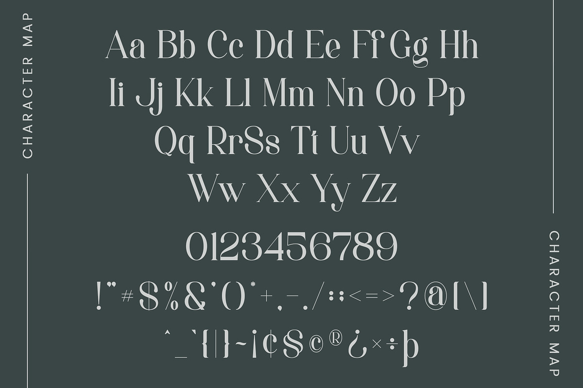 Megha - Elegant Serif Font, a Serif Font by Aqeel_Art (Photo 10 of 12)