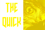 PREDS - FEARLESS DISPLAY FONT, a Font by Alphabet Agency (Thumbnail 2 of 5)