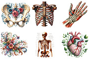 Vintage Antique Anatomy Clipart, a Seasonal Illustration by DreamArtGraphic (Thumbnail 4 of 5)