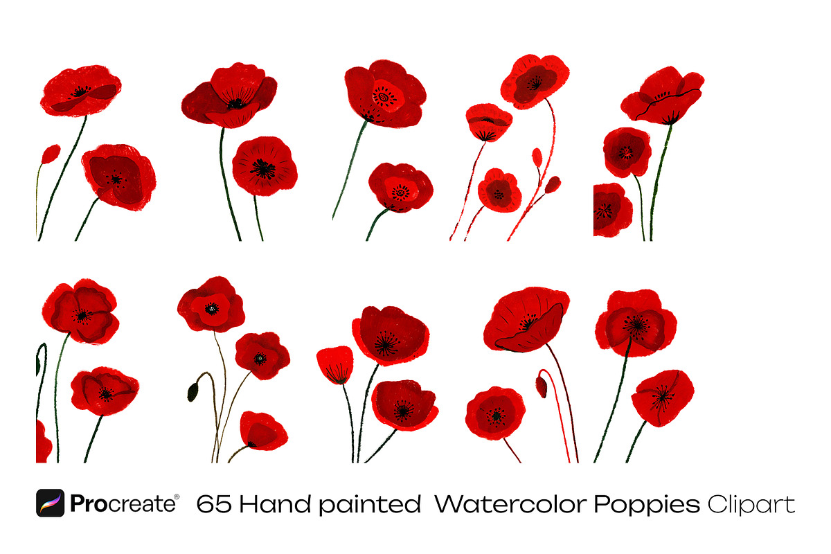 Watercolor Poppy Flowers, a Decorative Illustration by crafty (Photo 9 of 11)