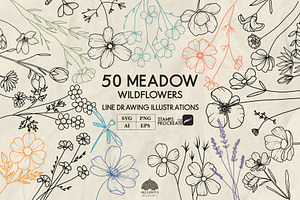 Meadow wildflowers + Procreate, a Decorative Illustration by Skliarova