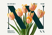 Rhedova - Modern Bold Luxury Serif, a Serif Font by Shakira Studio (Thumbnail 8 of 10)