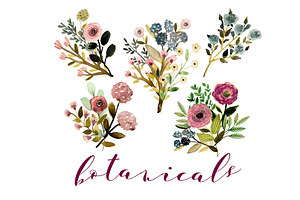 Botanicals