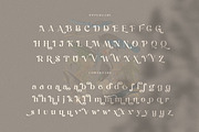 Dunsmuir - Modern Serif Font, a Serif Font by Cruzine (Thumbnail 7 of 9)