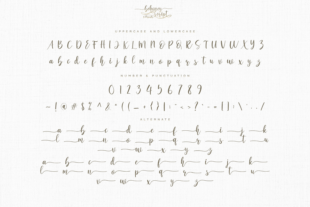 behoney Modern Script Font, a Script Font by Analogous (Photo 11 of 12)