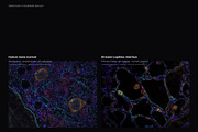 Biomedical Microscopy, a Healthcare Illustration by liravega (Thumbnail 7 of 7)