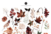 Watercolor Clipart - MAHOGANY FALL, a Decorative Illustration by Beigetime (Thumbnail 3 of 15)