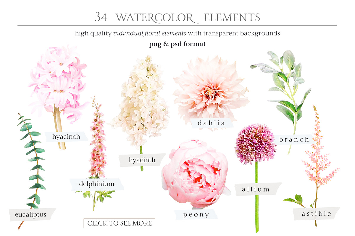 Watercolor Botanical set, an Illustration by TL Design (Photo 11 of 14)