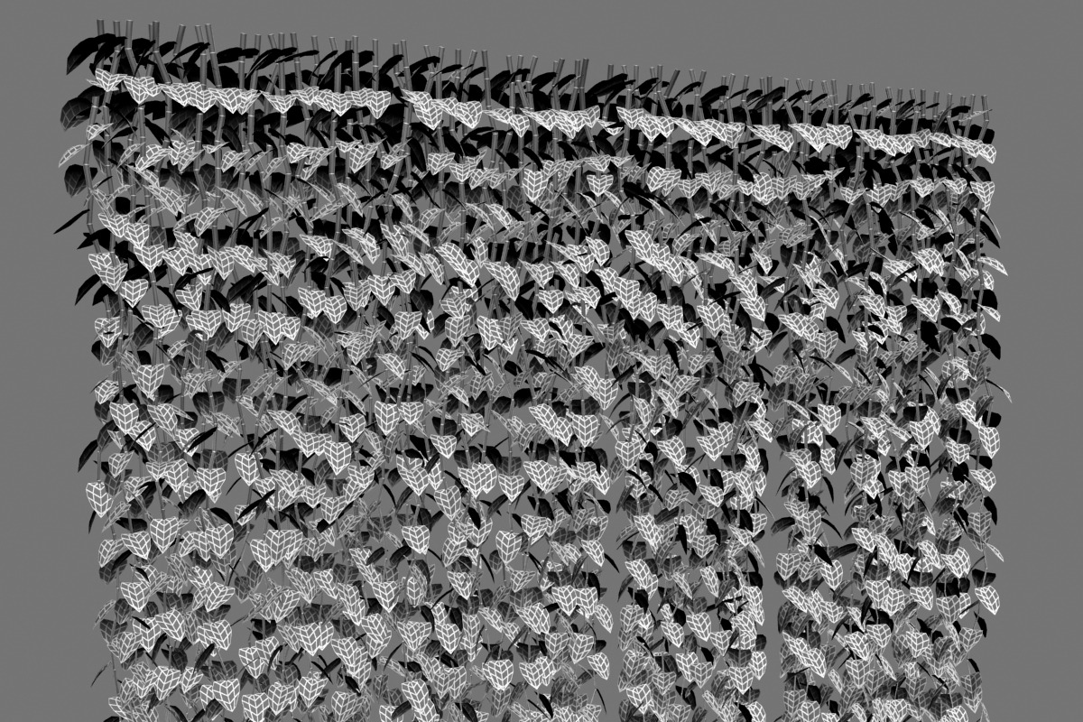 Wall of vines, an Environmental 3D Model by AndrewWhite (Photo 3 of 5)