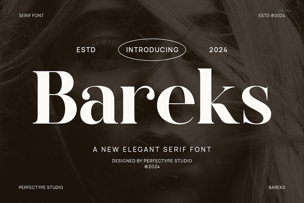 Bareks Elegant Serif Font Typeface, a Serif Font by Perfectype (Photo 1 of 6)