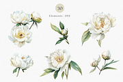 White Peony Watercolor, a Decorative Illustration by ThaismotaCreativeCo (Thumbnail 2 of 10)