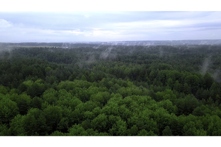 Beautiful view from the drone. Clip, a Nature Photo by Media Whale Stock