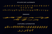 Soothing signature font, a Script Font by twinstd (Thumbnail 13 of 14)