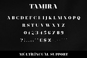 Tamira - Luxe Serif Typeface, a Serif Font by VP Fonts (Thumbnail 10 of 12)