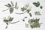 Floral Flatlay Scene Creator Rosette, a Product Mockup by ILLONA GRAPHICS (Thumbnail 2 of 5)