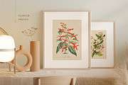 BUNDLE: 200 Vintage Art Prints, a Decorative Illustration by The Object Atlas (Thumbnail 13 of 22)