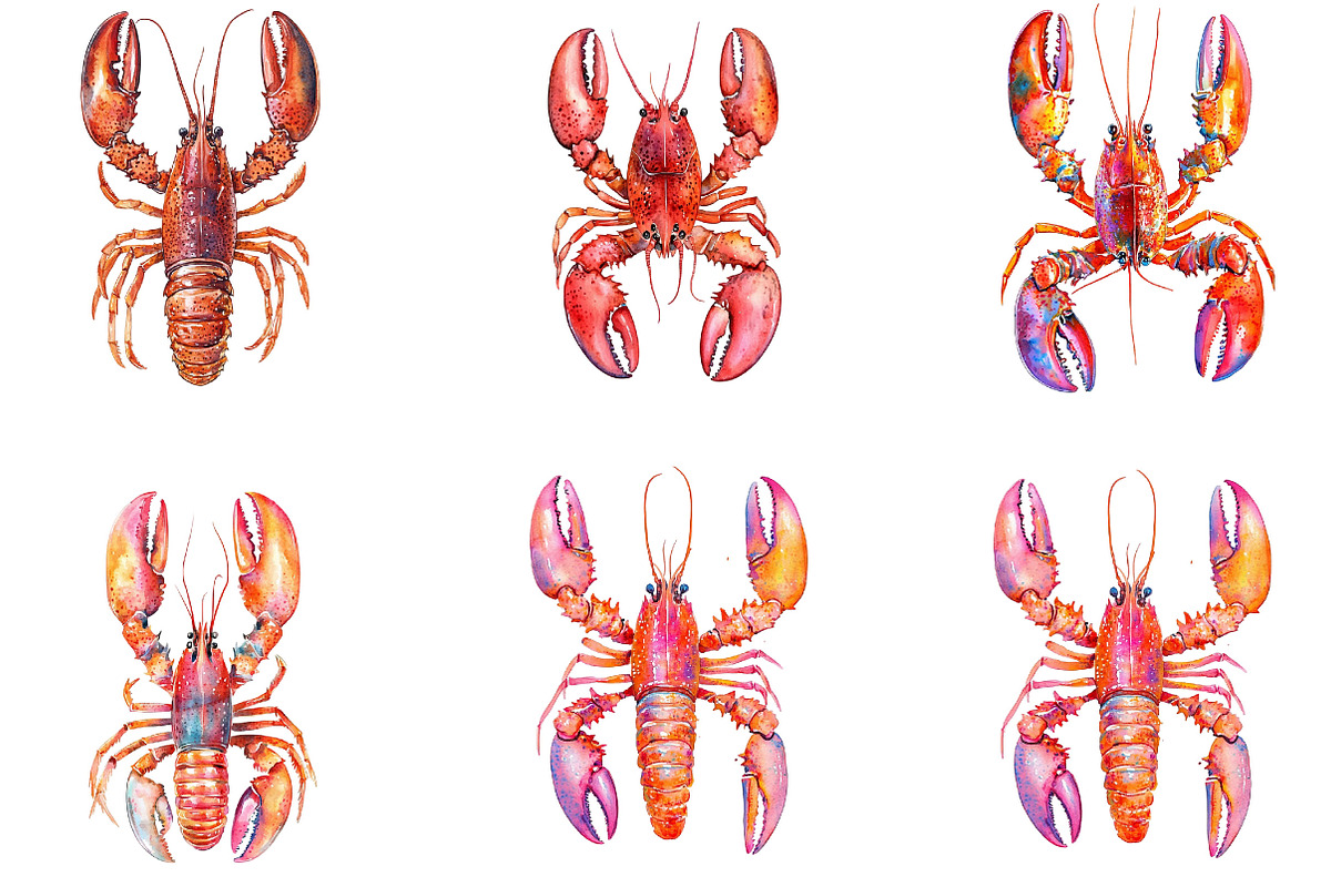 Watercolor Lobster Clipart, an Illustration by Designking (Photo 4 of 5)