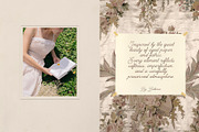 Paper & Lace Archive, an Object Graphic by Lidberia (Thumbnail 3 of 11)