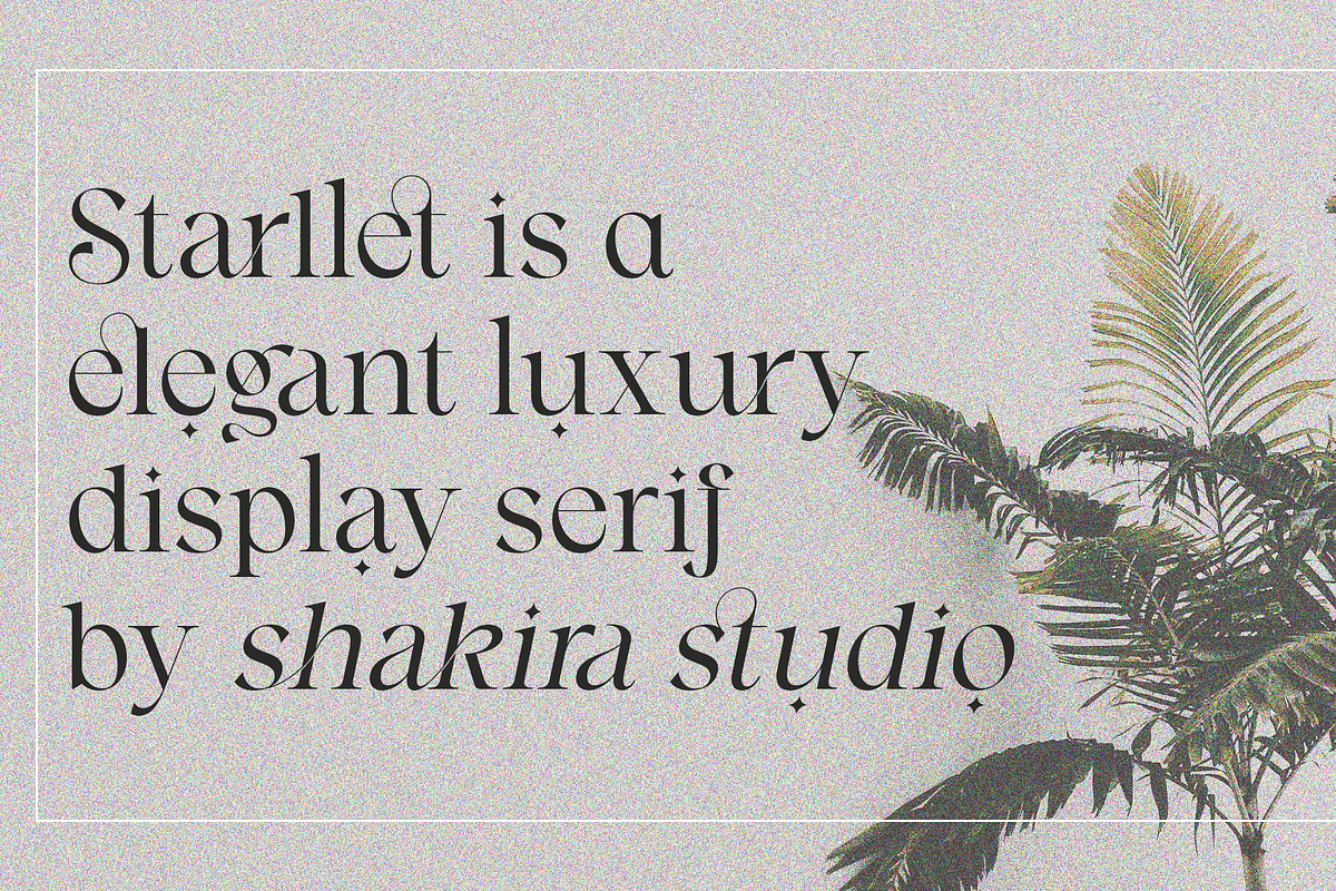 Starllet - Modern Serif Font, a Serif Font by Shakira Studio (Photo 2 of 11)