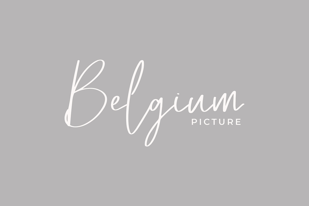 Sofija Elegant Script Font, a Script Font by NTC Graphic (Photo 3 of 9)