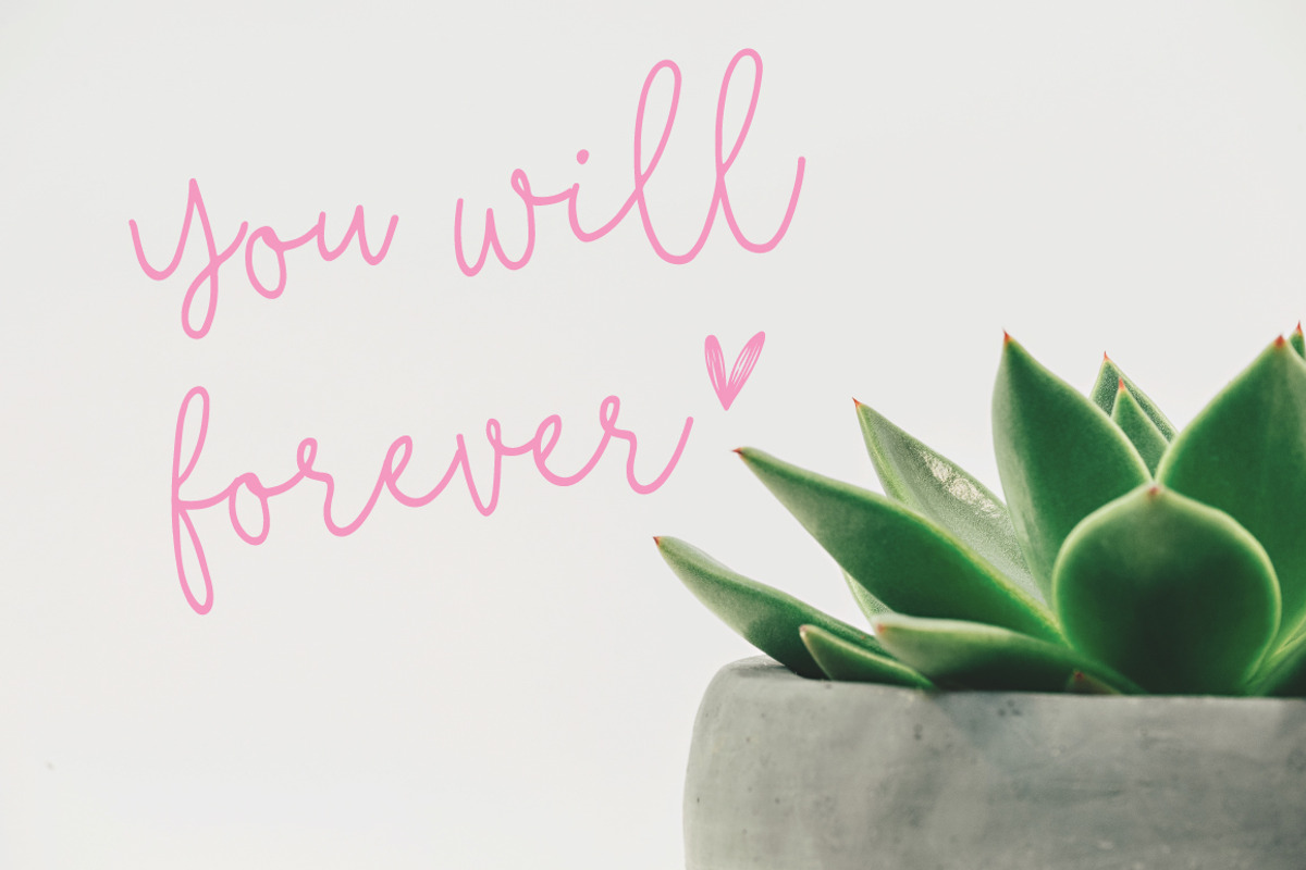 fixity | handwritten font preview 2