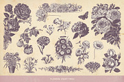 SALE! 100 Garden Illustrations, an Object Illustration by Anja Kaiser (Thumbnail 3 of 8)