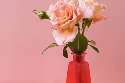 Romantic setup with coffee, macarons and roses