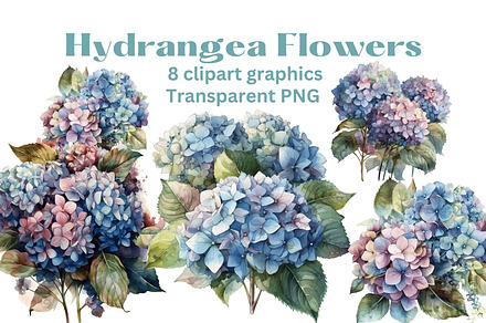 Hydrangea Flowers clipart x8