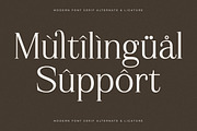 Gerislan Modern Font Serif, a Serif Font by Storytype Studio (Thumbnail 12 of 15)