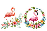 Watercolor Flamingo Clipart Tropical, an Illustration by Designworld (Thumbnail 5 of 6)