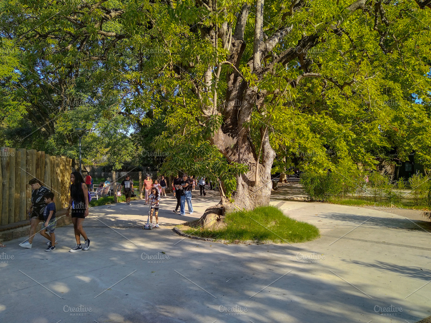 Families walking under large trees at villa dolores zoo park, mo, a Nature Photo by DanFLCreativo