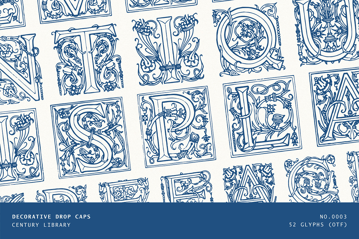 Ornate Vintage Drop Cap Font, a Symbol Font by Century Library (Photo 1 of 5)