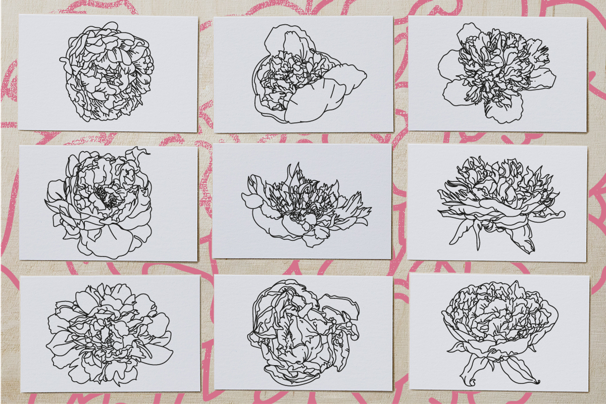 50 Peony Flower Vector Illustrations, an Illustration by Inkwell Supply Co (Photo 9 of 20)