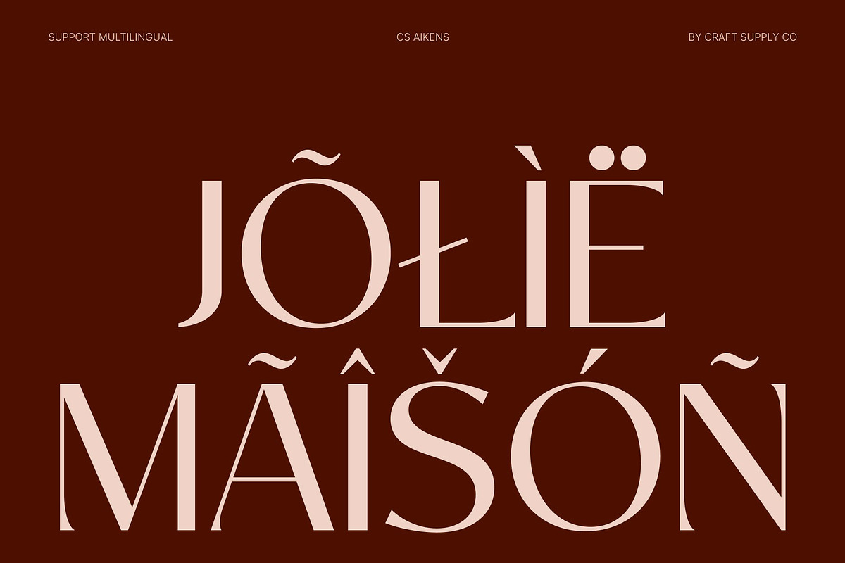 CS Aikens – Elegant Sans Serif, a Sans Serif Font by Craft Supply Co. (Photo 7 of 8)