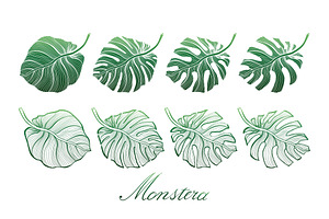 Tropical Monstera Leaves