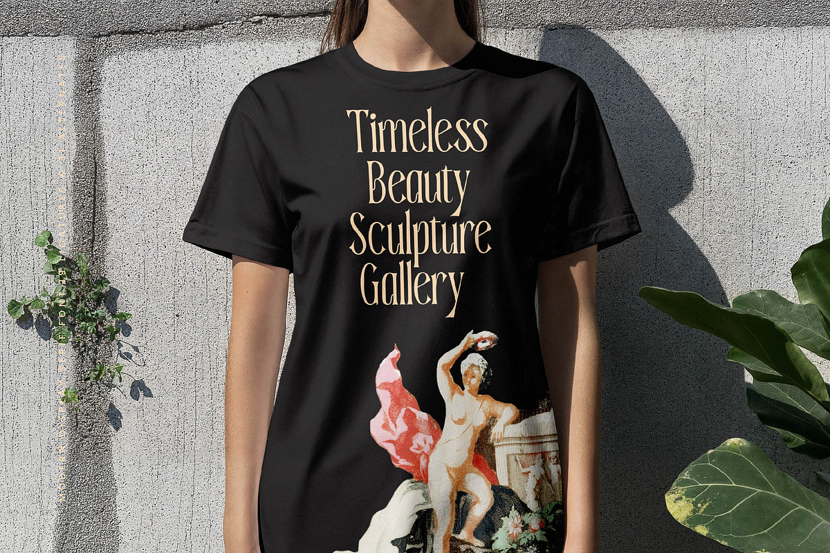 Garugis Modern Display Serif, a Serif Font by timelesstype.co (Photo 14 of 20)
