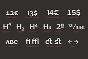 Arturo - 15 Fonts, a Sans Serif Font by Zetafonts (Thumbnail 13 of 13)
