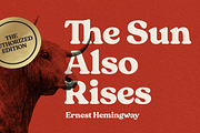 Whiskey Sour Retro Serif, a Serif Font by Fenotype (Thumbnail 4 of 14)