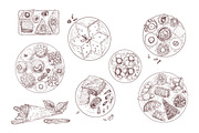 Oriental sweets set + backgrounds, a Food Illustration by Good Studio (Thumbnail 3 of 21)
