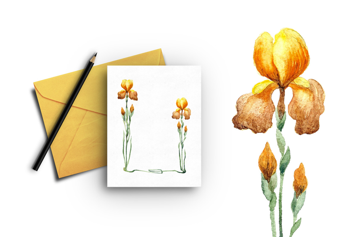 Watercolor gladioli set, an Illustration by Floralis (Photo 4 of 4)