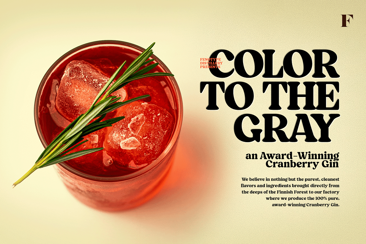 Blood Orange Vintage Serif, a Serif Font by Fenotype (Photo 5 of 16)